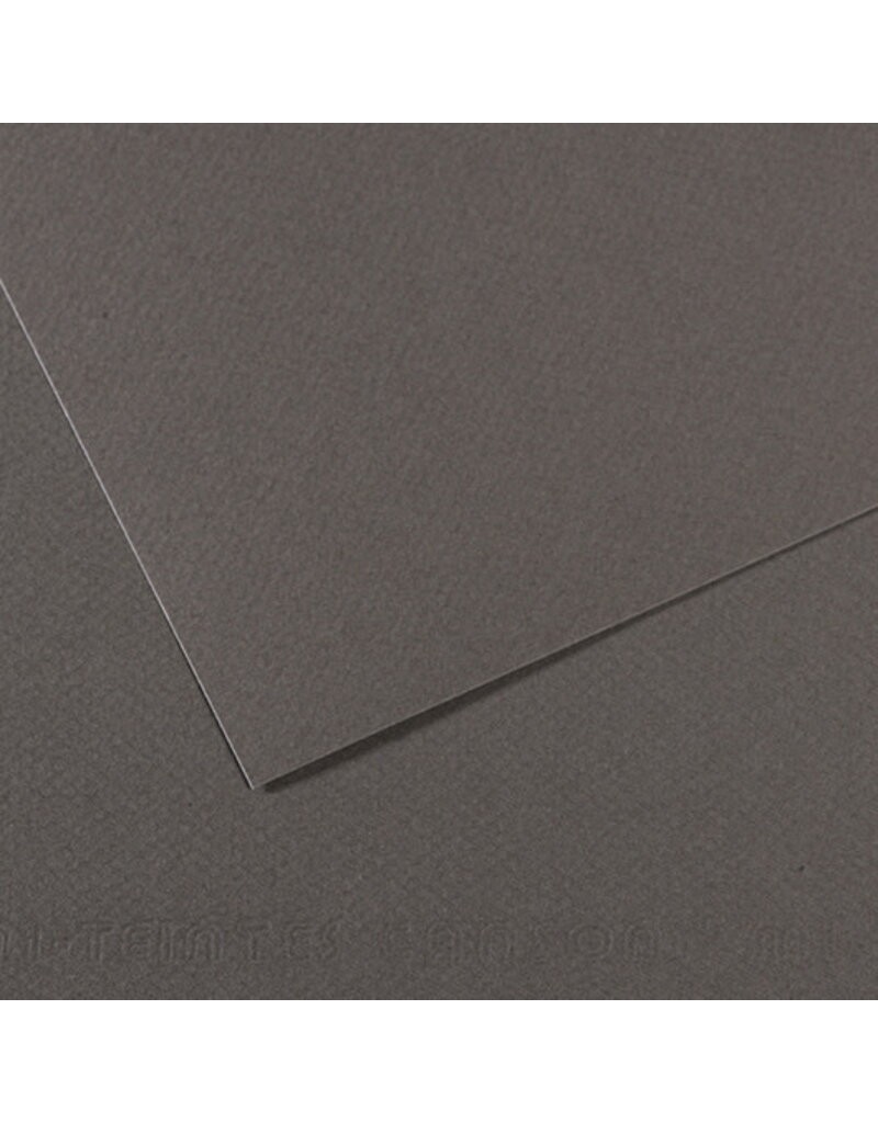 Canson Mi-Teintes Paper (19.5” x 25.5”)
