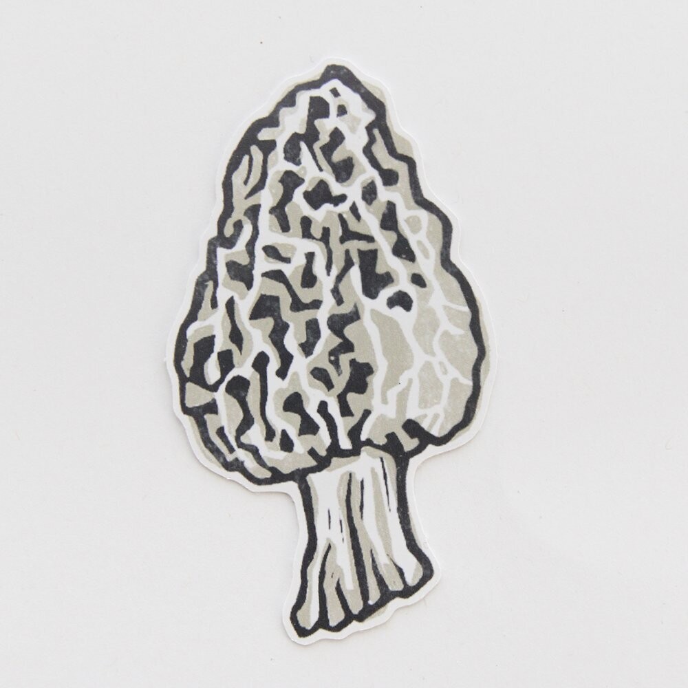 Root & Branch Morel Mushroom Eco-Friendly Paper Sticker
