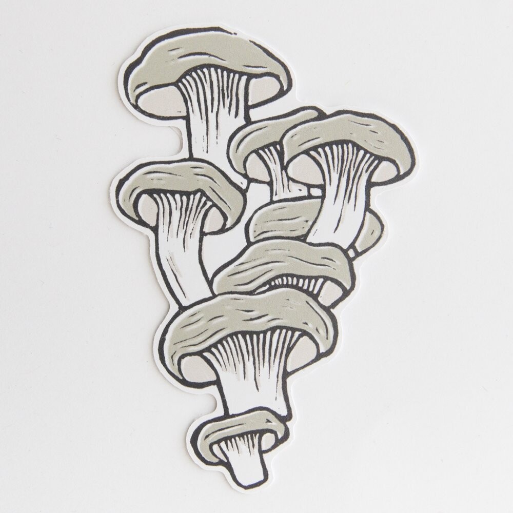 Root & Branch Oyster Mushroom Eco-Friendly Paper Sticker
