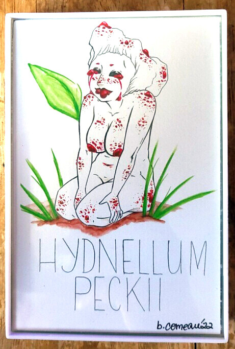 Hydnellum Peckii - Original by Bridget Comeau