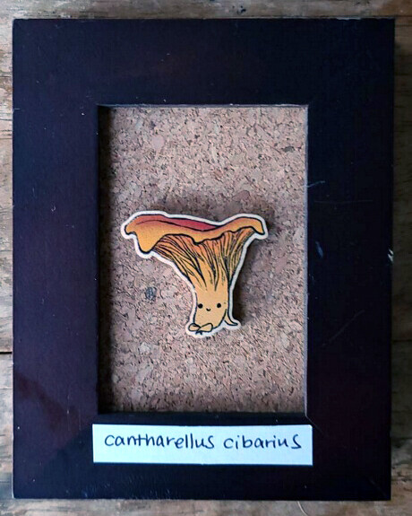 Cantharellus Cibarius - Original by Bridget Comeau