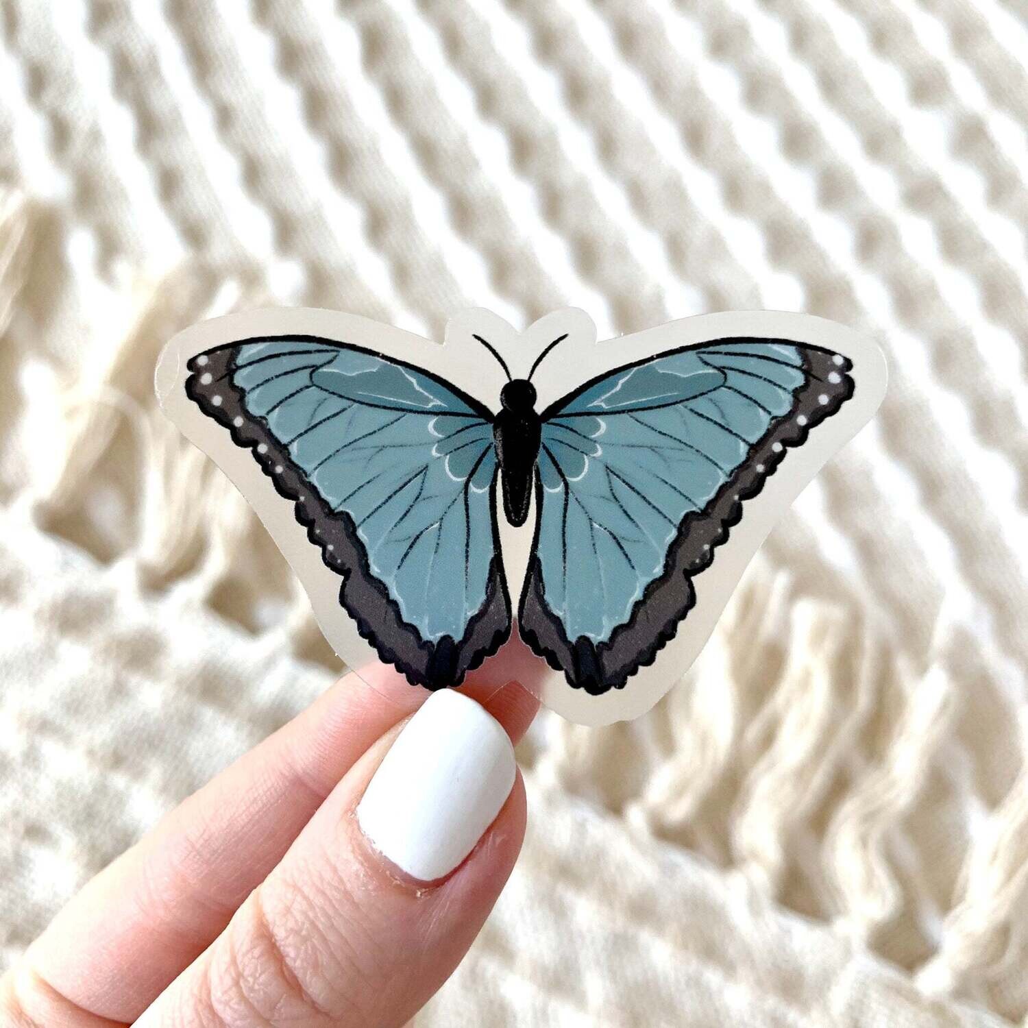 Common Blue Morpho Butterfly - Sticker by Elyse Breanne Design