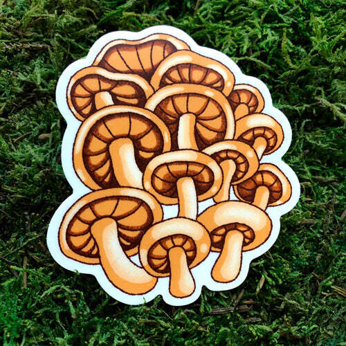Oyster Mushroom - Sticker from Print Ritual