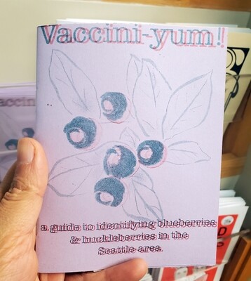 Vaccini-Yum! a Guide to Identifying Blueberries and Huckleberries in the Seattle Area - Zine by Maxx Follis-Goodkind