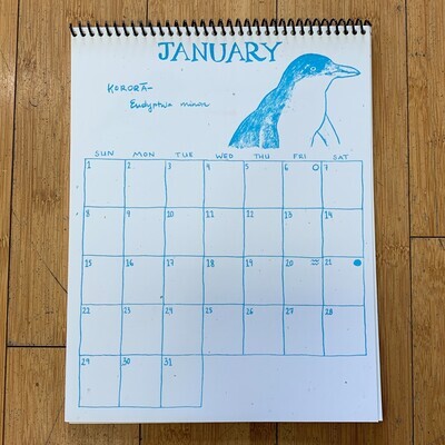 Birds of Aotearoa - 2023 Calendar by Michiko Wild