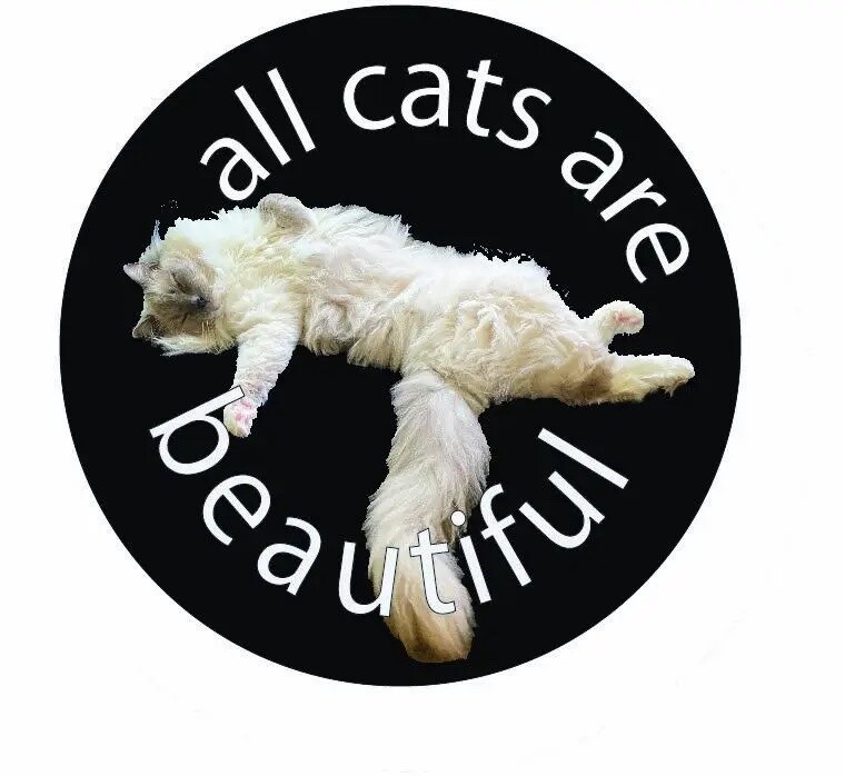 All Cats Are Beautiful - Pin from Microcosm Publishing