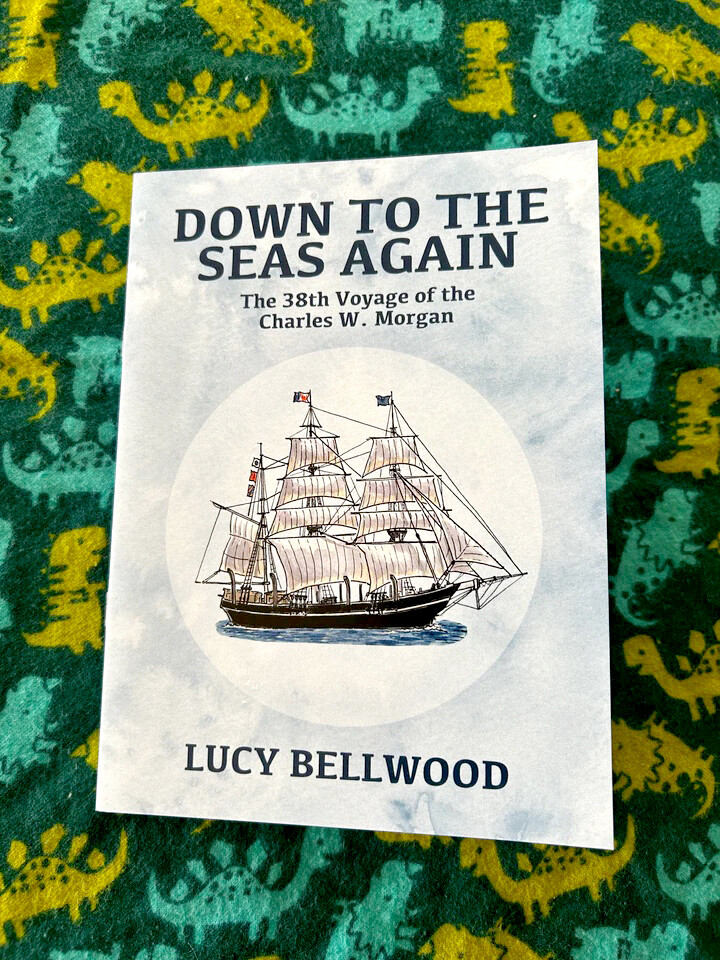 Down to the Seas Again - Comic by Lucy Bellwood