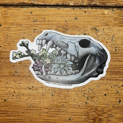 Coyote Skull w Succulents - Sticker by Kelly Dean Verity