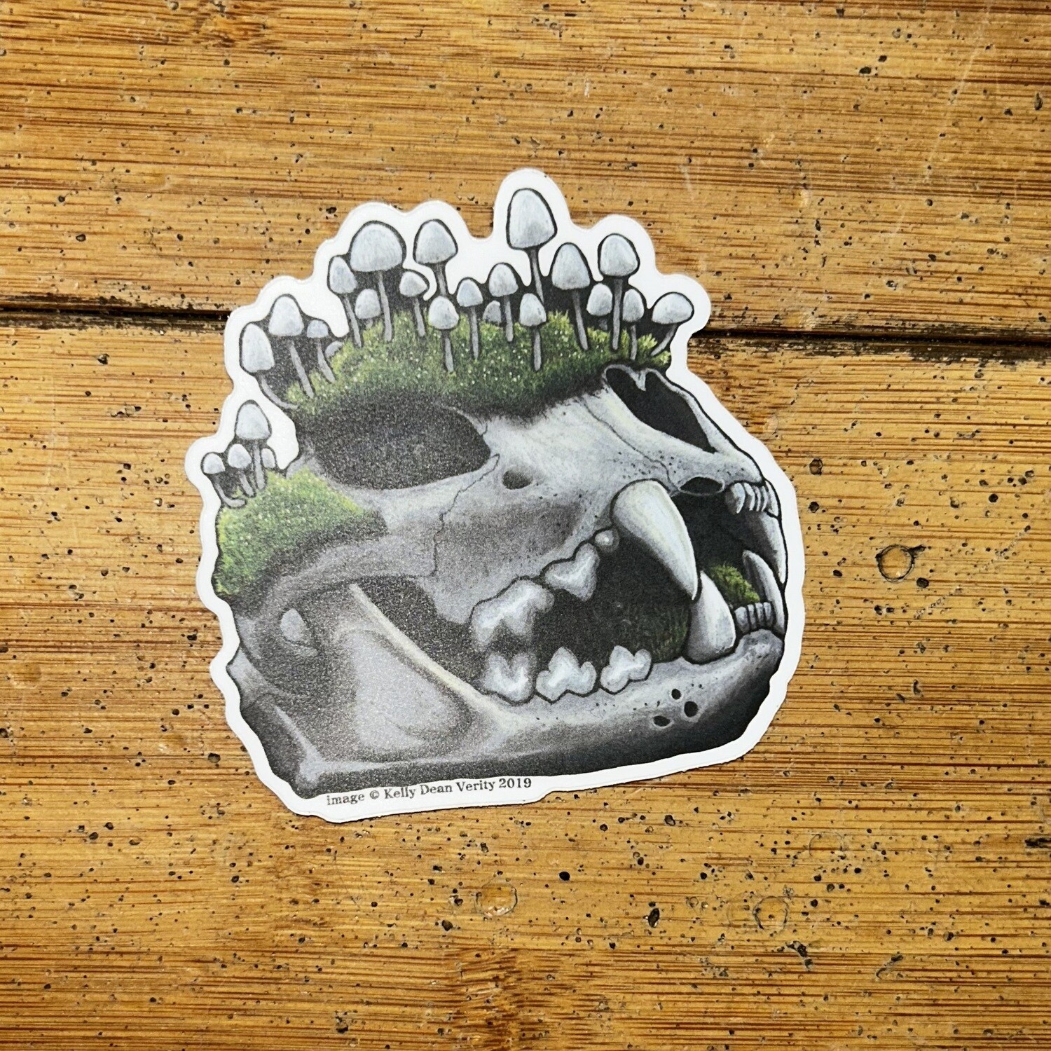 Mountain Lion Skull w Mushrooms - Sticker by Kelly Dean Verity