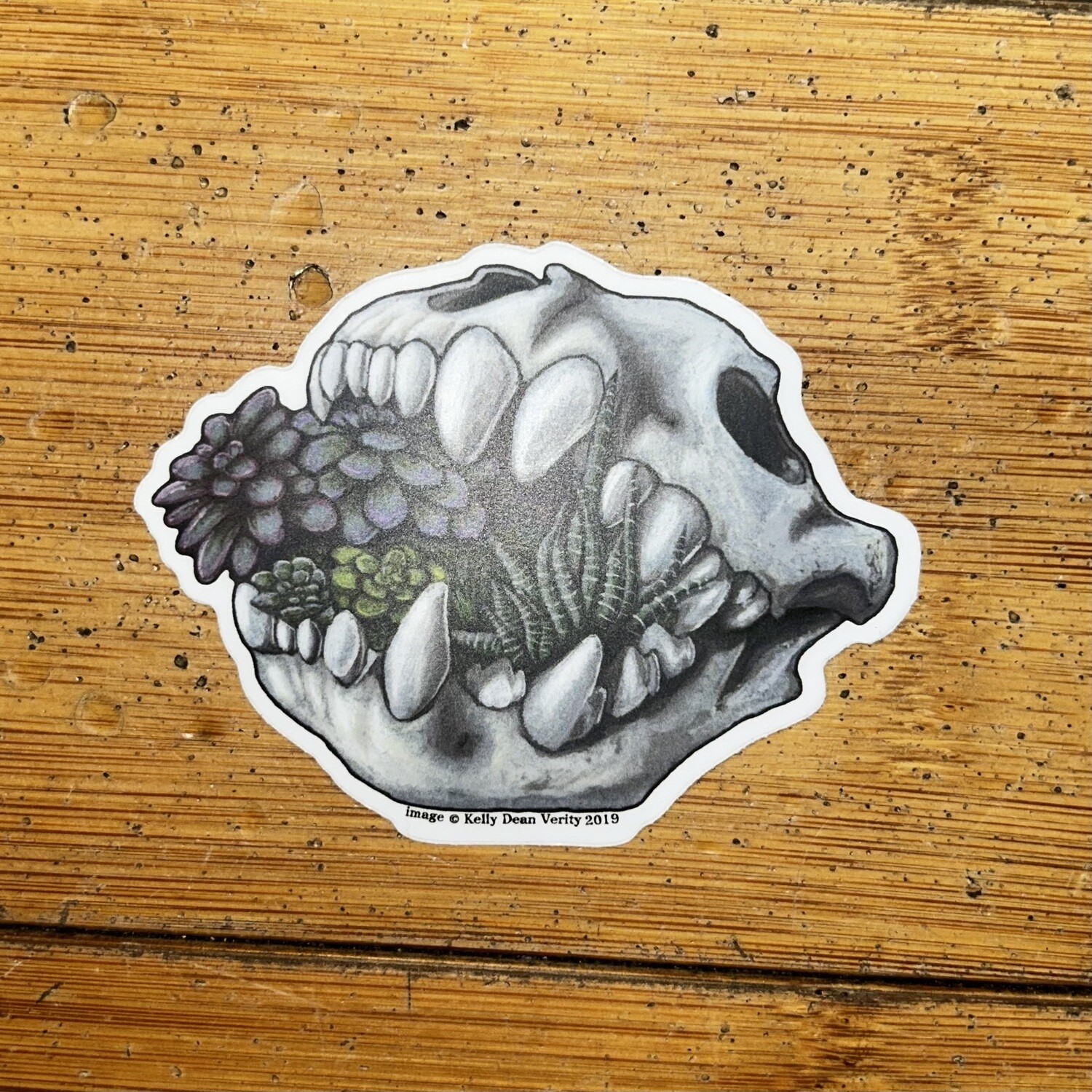 Hyena Skull w Succulents - Sticker by Kelly Dean Verity