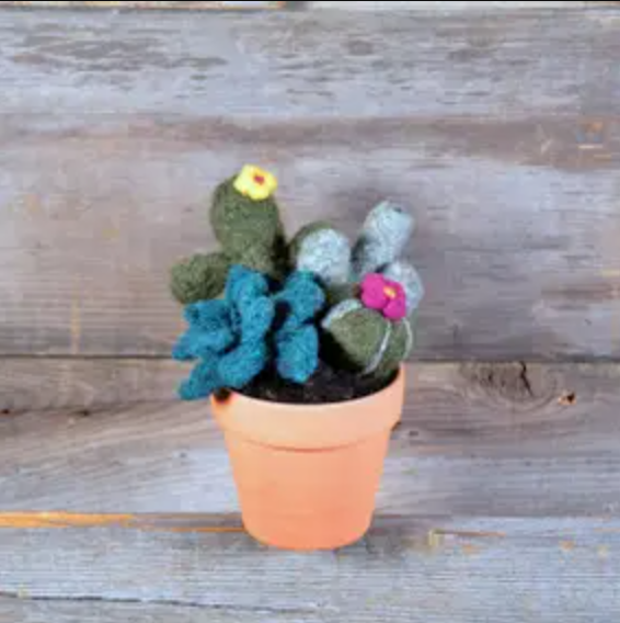 Succulent Needle Felting Kit, Create a Plant