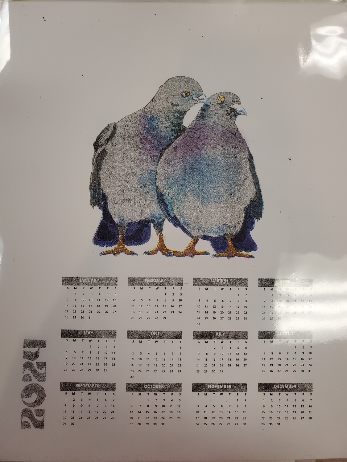 Columbidae Kiss 2024 Calendar by Maxx FG