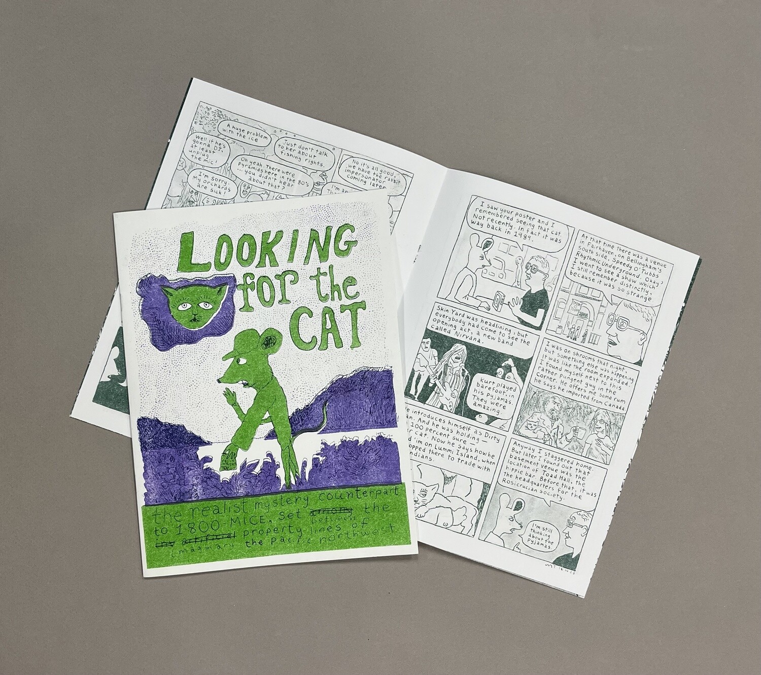 Looking For the Cat - Zine by Matthew Thurber