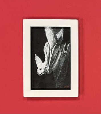 Albino Bat, Original Art by Vladimir Verano