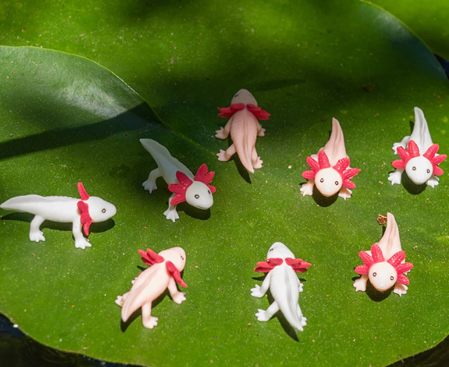 Itty Bitty Axolotls by Archie McPhee