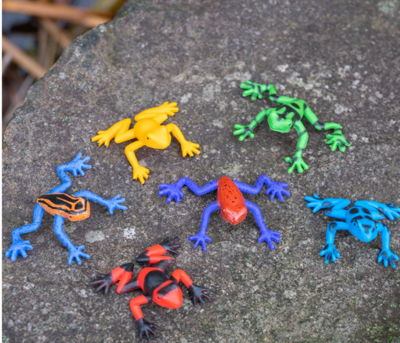 Itty Bitty Poison Dart Frogs by Archie McPhee