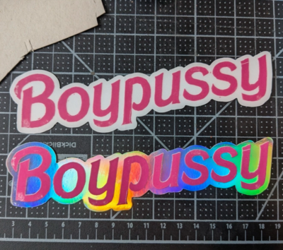 Riverside Refuge Boypussy Sticker (Holo)