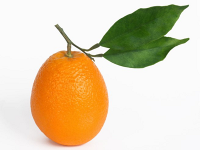 NARANJAS MESA --------------------------- Las mejores Naranjas de Mesa que puedes degustar. Naranjas de un tamaño apropiado para convertirse en una pieza de postre excepcional.