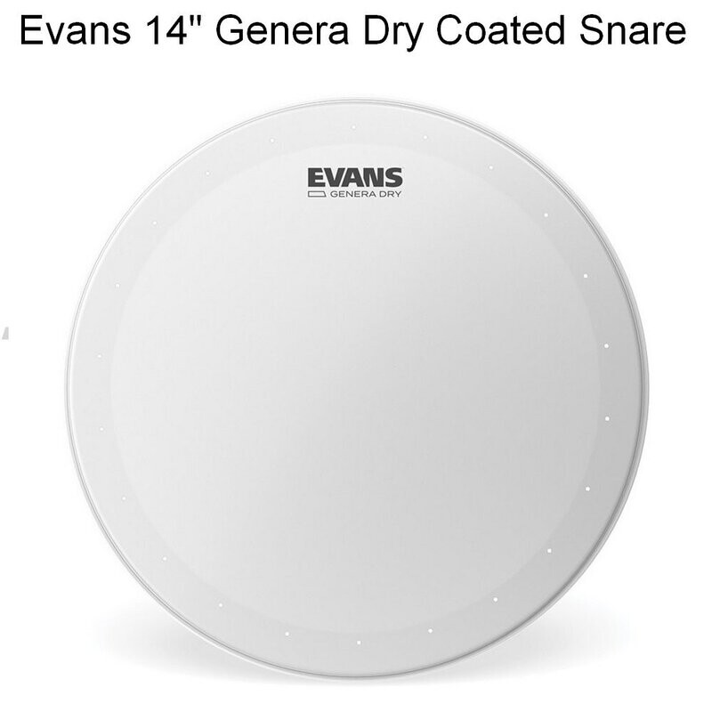 Peaux EVANS 14" Genera Dry  coated snare