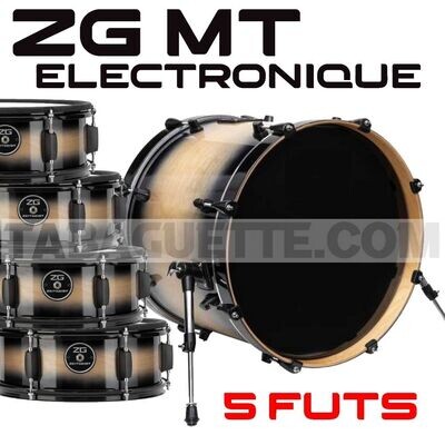 ZG MT 5 futs electronique
