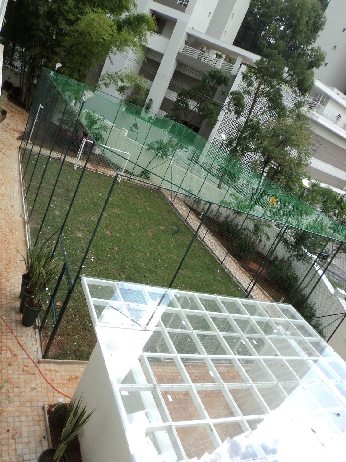 Grama natural - São Paulo