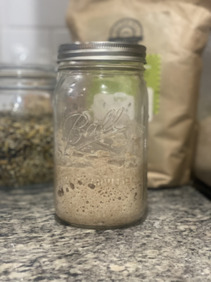 Sourdough starter