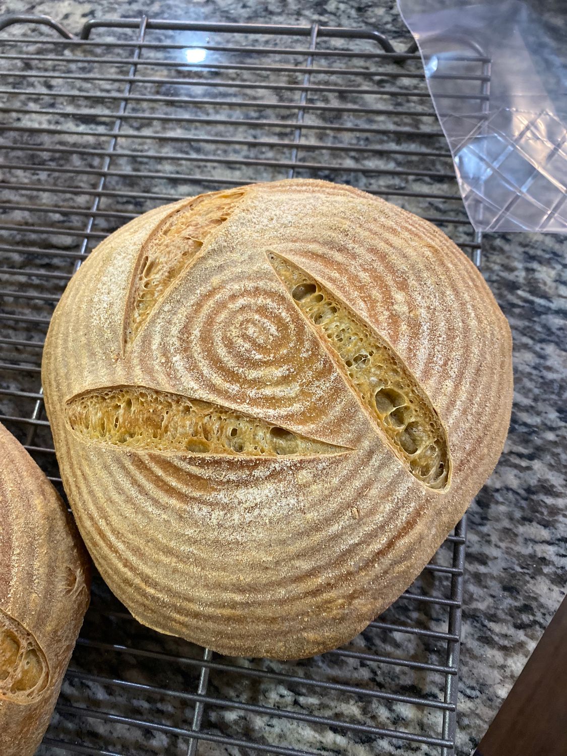 Raisin Levain Loaf - Great for Rosh Hashana