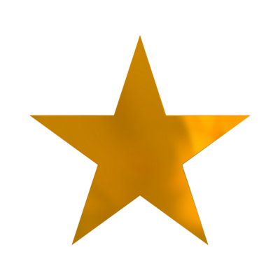 Social Media Gold Star Package