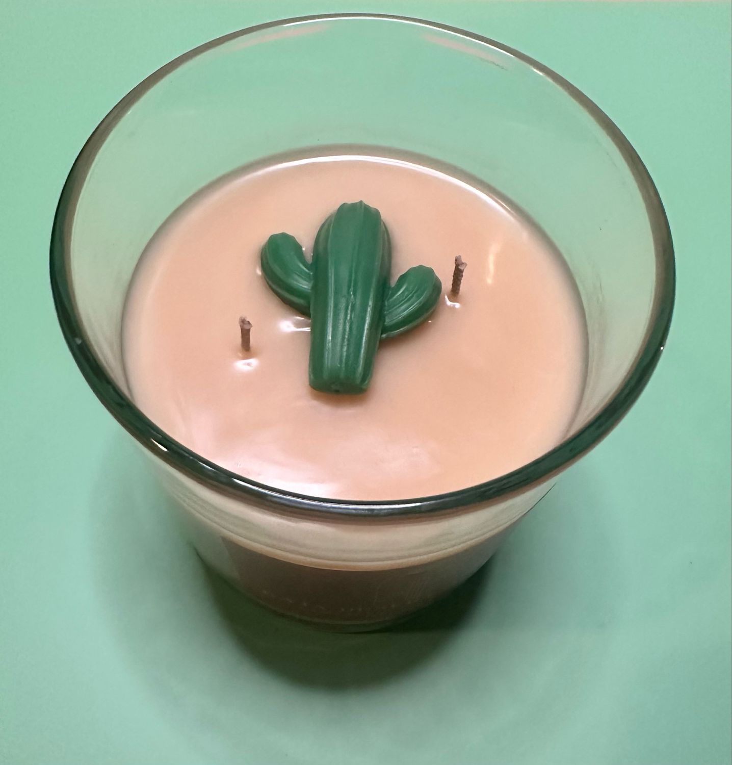 Baja Desert Blossom
