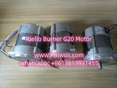 Riello Burner G20 Motor