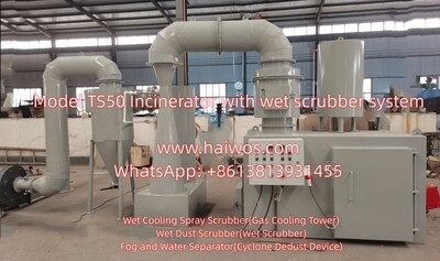 Model TS50 Incinerator with wet scrubber system