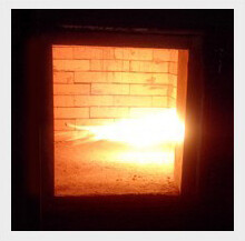 Animal Cremation Incinerator