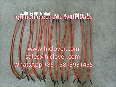 Ignition electrode with 2 leads