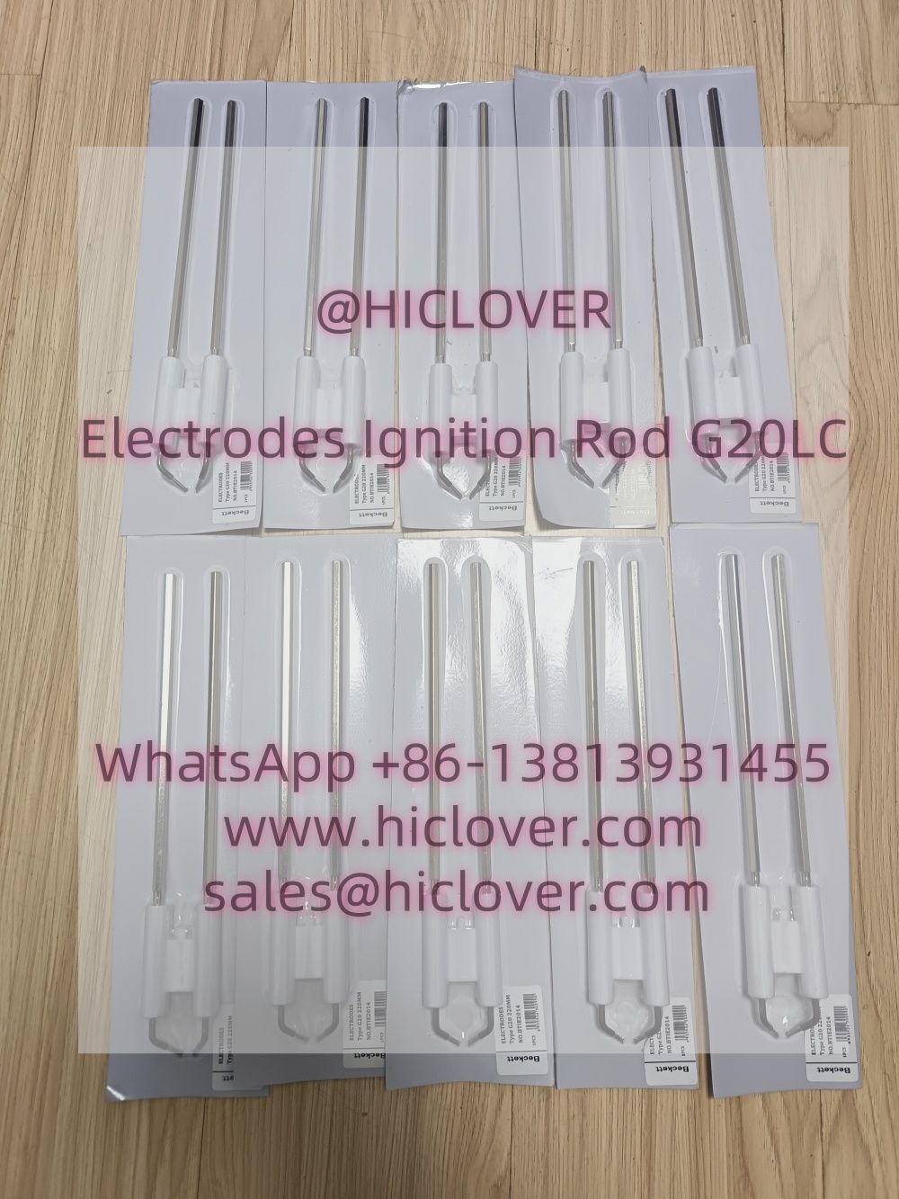 Electrodes Ignition Rod for riello G20LC
