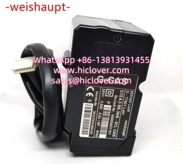 Weishaupt Servo Motor STE4,5 B0.36/6 01L
