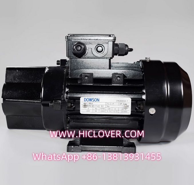 Riello Burner RLS190 RLS250 RLS130 RLS70 RLS100 RLS150 Oil Pump Motor