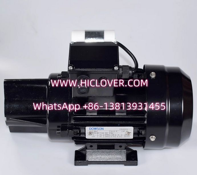 Riello Burner RLS190 RLS250 RLS130 RLS70 RLS100 RLS150 Oil Pump Motor