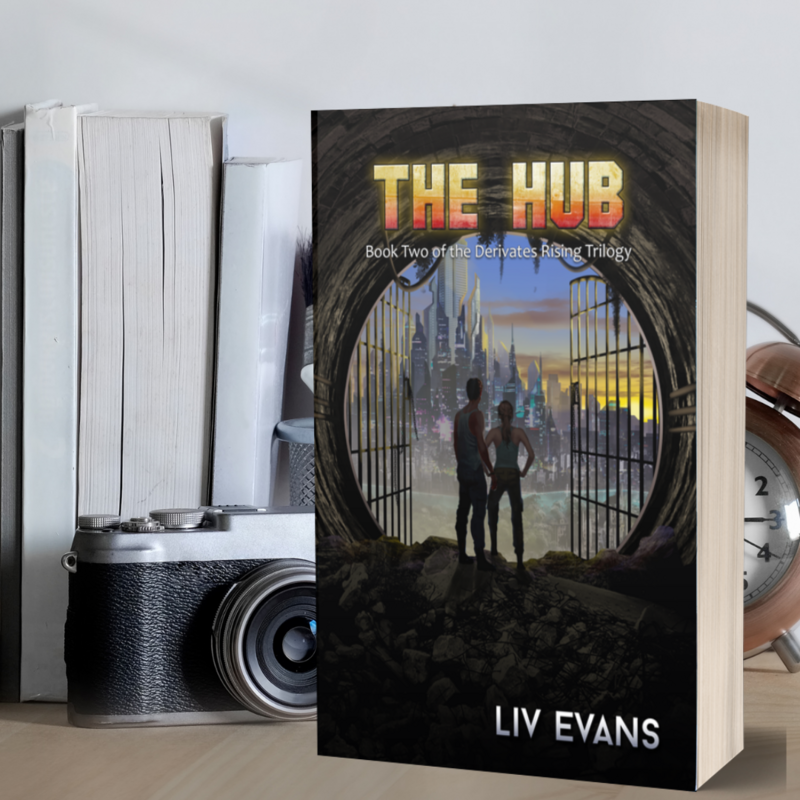 The Hub - Paperback