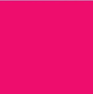 Oracal 651 Vinyl  (5 Year) Pink 041