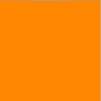 Oracal 651 Vinyl  (5 Year)  Light Orange 036
