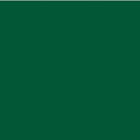 Oracal 651 Vinyl  (5 Year) Dark Green 060