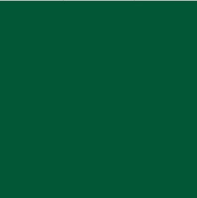 Oracal 651 Vinyl  (5 Year) Dark Green 060