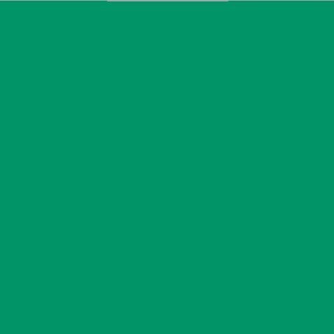 Oracal 651 Vinyl  (5 Year) Green 061