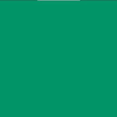 Oracal 651 Vinyl  (5 Year) Green 061