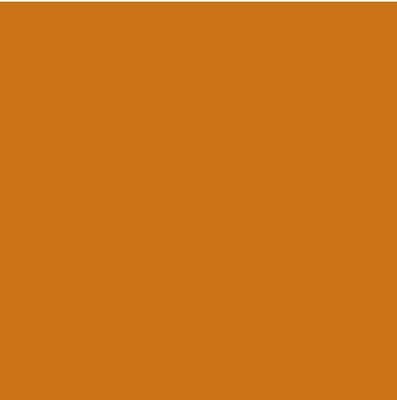 Oracal 651 Vinyl  (5 Year) Nut Brown 083