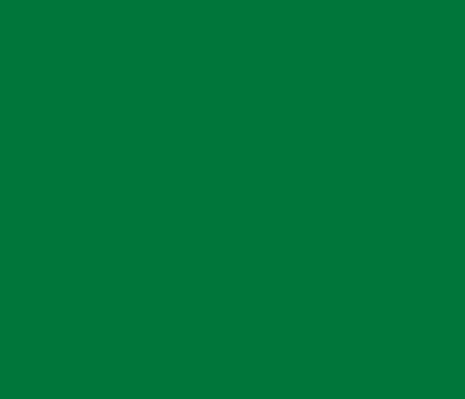 Siser Flex HTV - Green A4