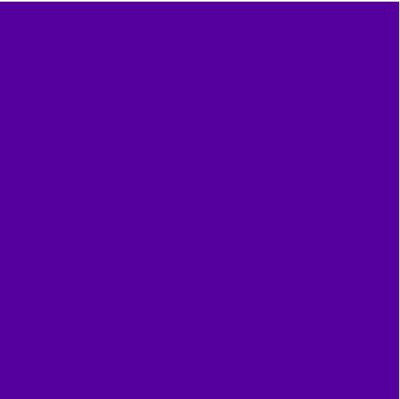 Oracal 651 Vinyl  (5 Year)  Purple 404