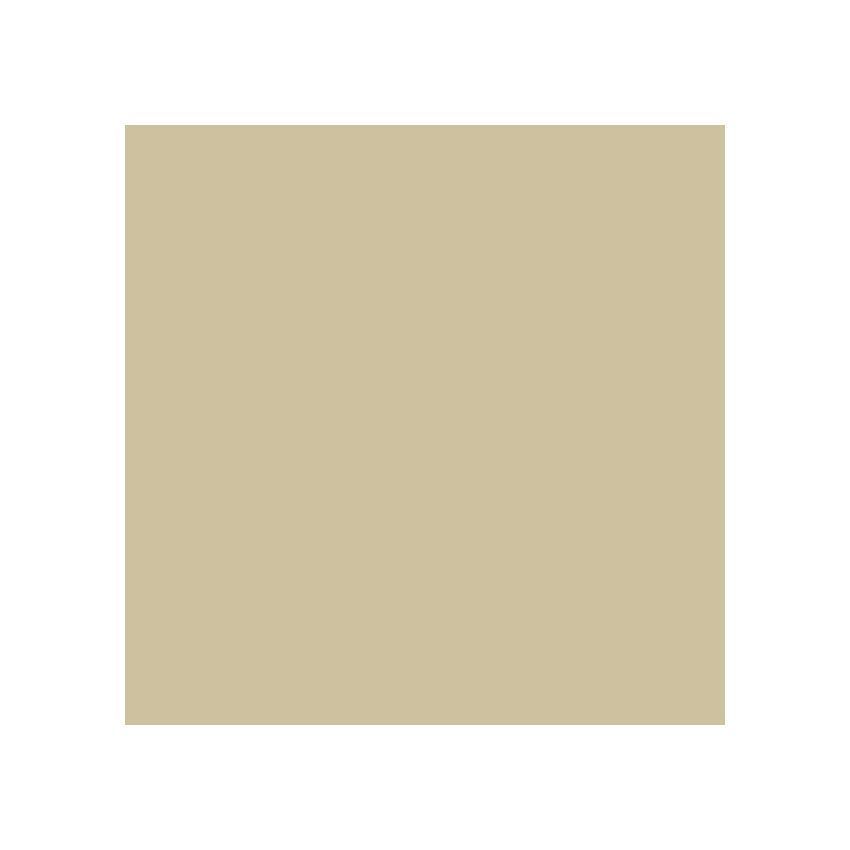 Oracal 651 Vinyl  (5 Year) Beige 082