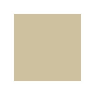 Oracal 651 Vinyl  (5 Year) Beige 082