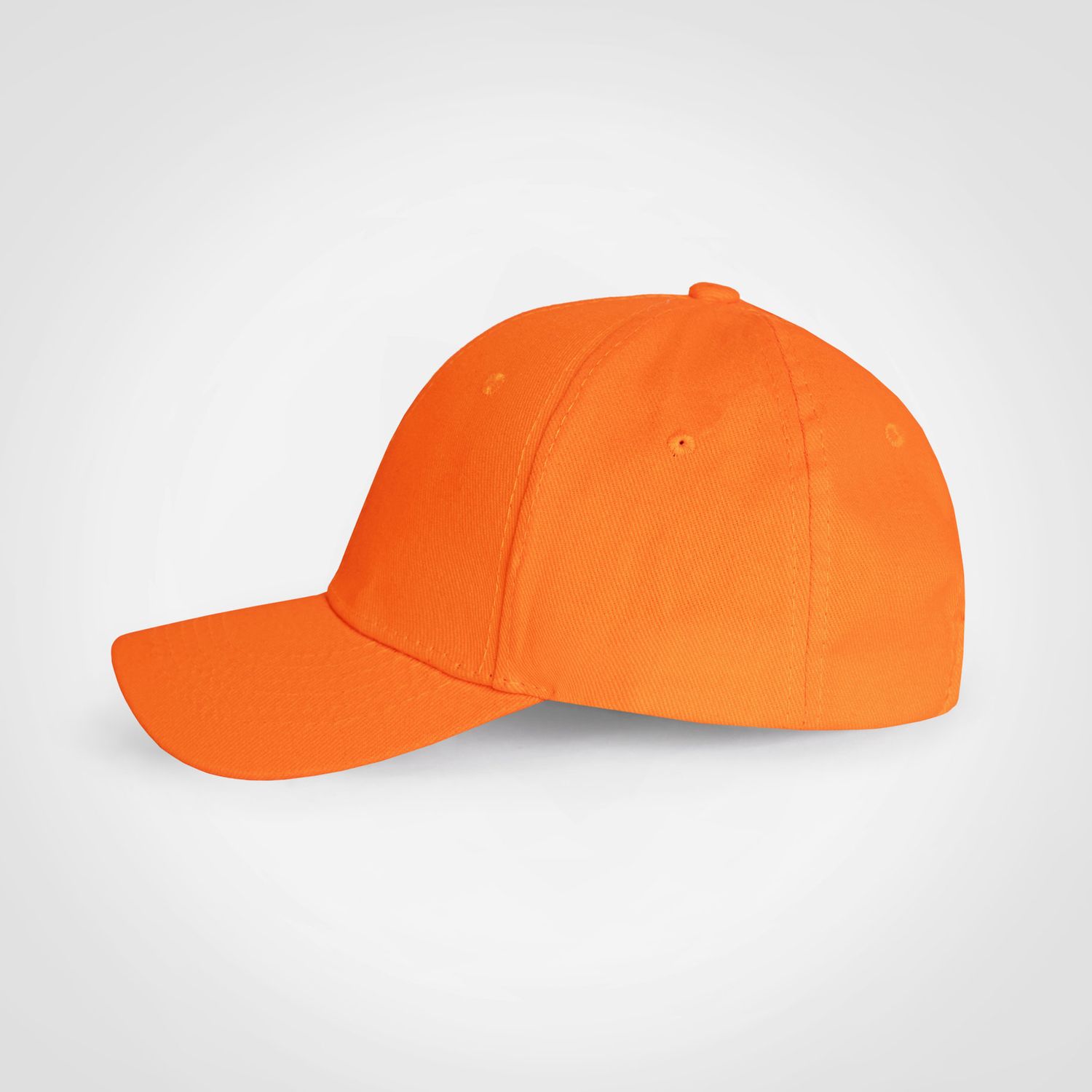 Promo 6 Panel Cap